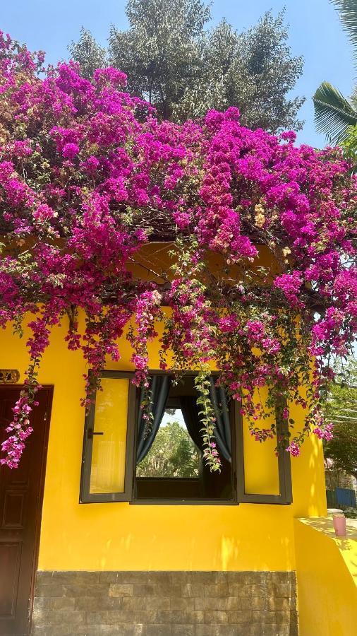 Bao Dien Guesthouse Бао Лок Екстериор снимка